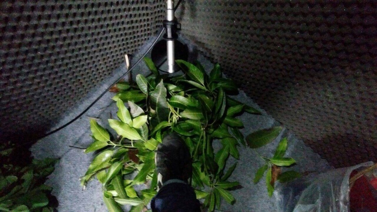 Serunya Menjadi Game Sound Designer